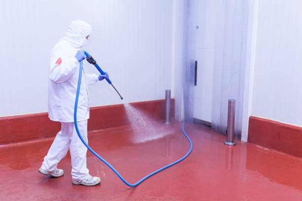 Best Driveway Pressure Washing  in Indian Trail, NC